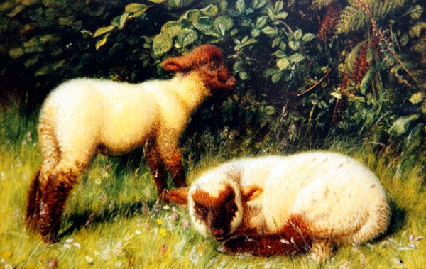 Sheep, c.1860 by William J. Webbe or Webb