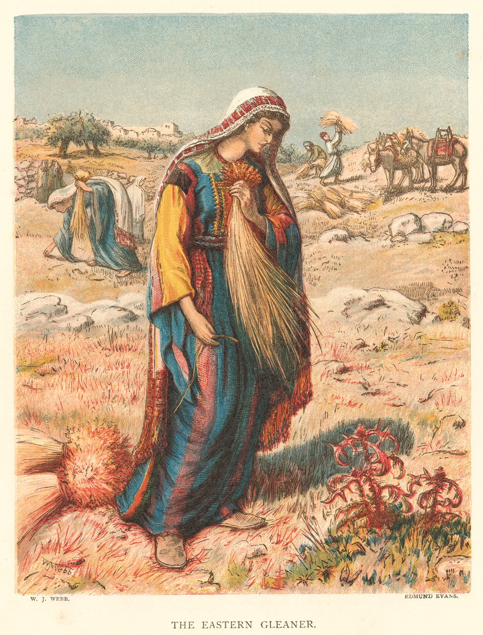 The Eastern Gleaner by William J. Webbe or Webb