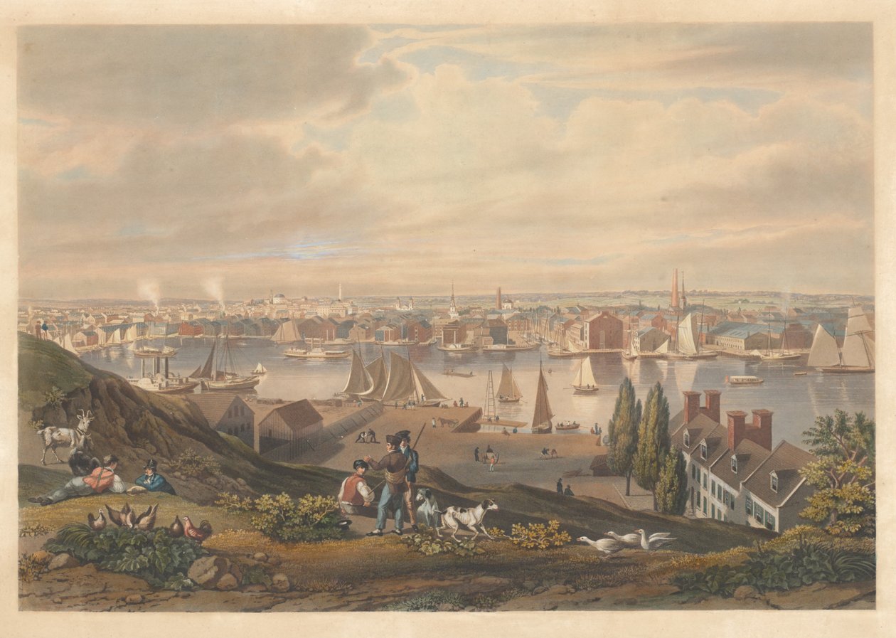 Baltimore from Federal Hill by William James Bennett