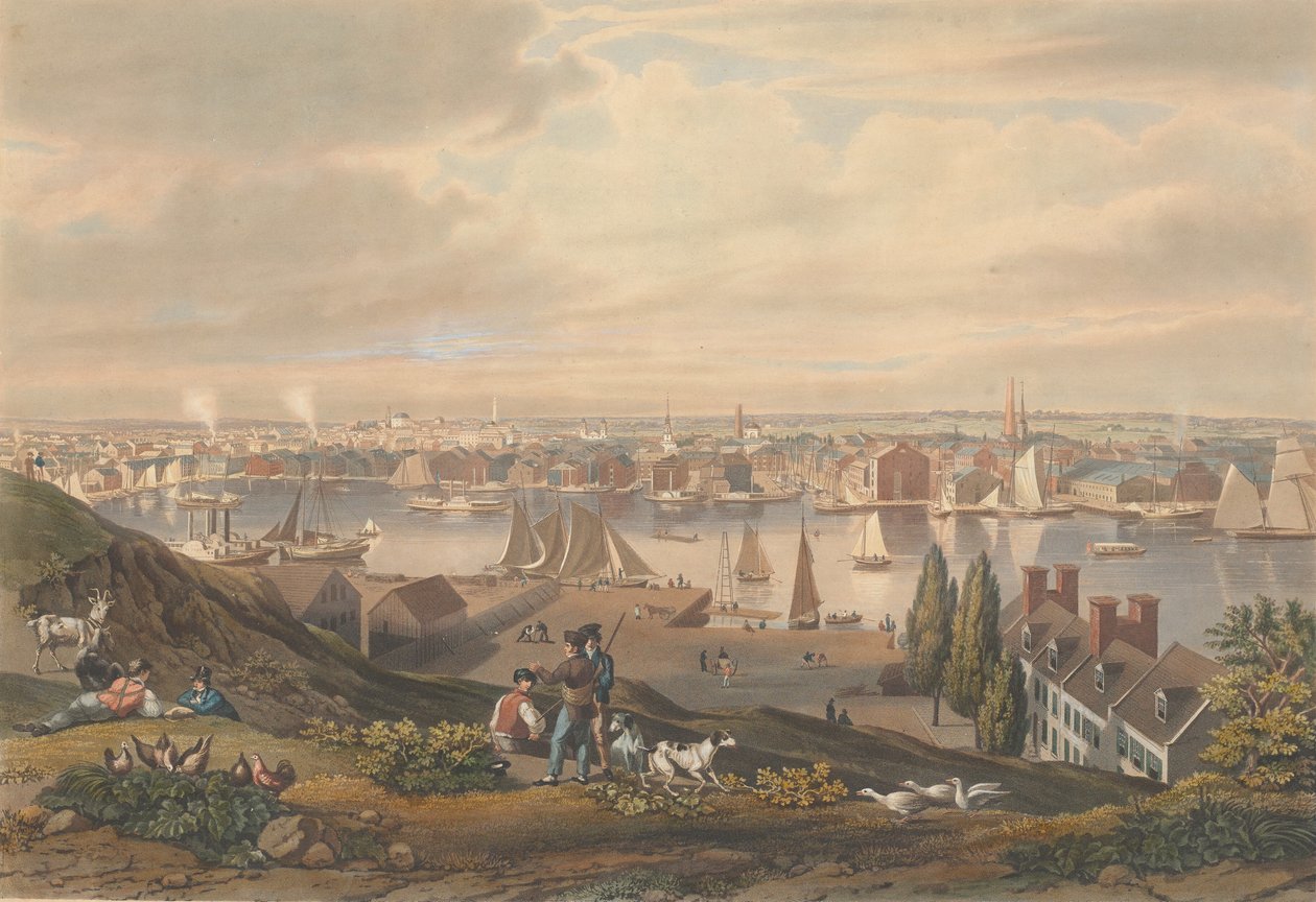 Baltimore from Federal Hill by William James Bennett