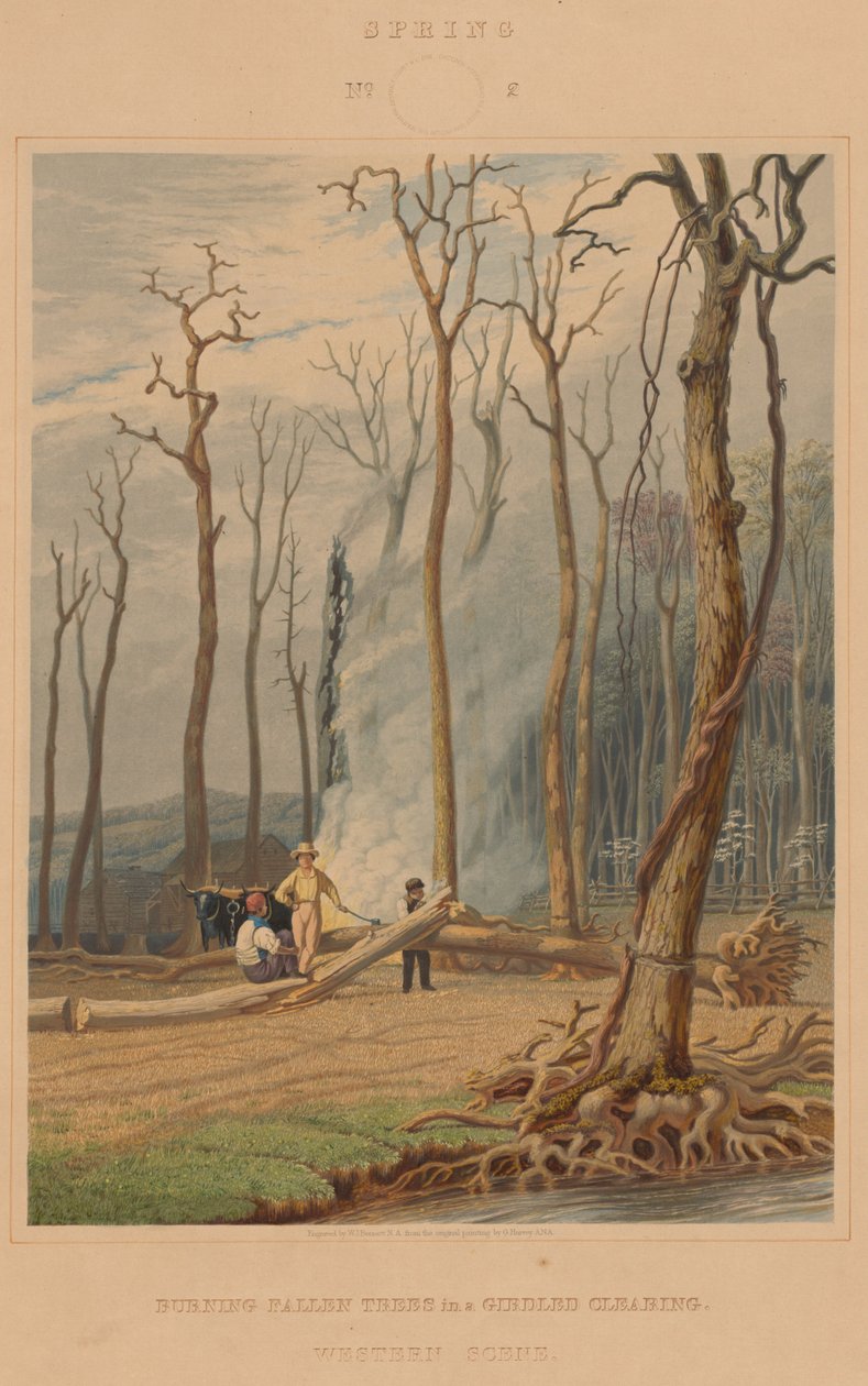 Spring--Burning Fallen Trees in a Girdled Clearing. Western Scene by William James Bennett after George Harvey