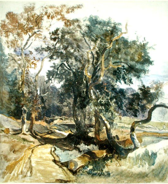 A Woodland Track by William James Muller