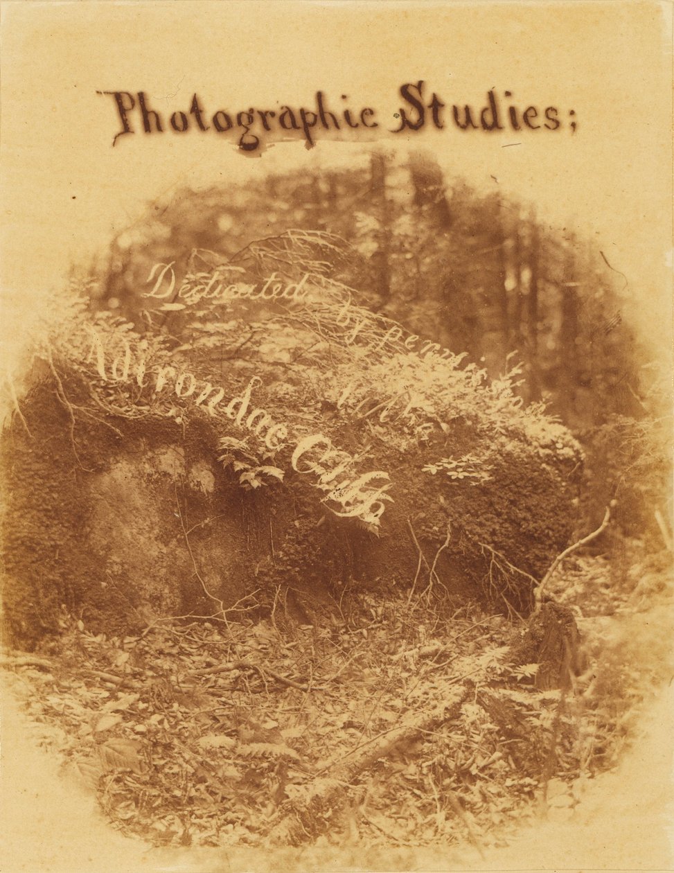 Untitled, from the portfolio The Forest: Adirondack Woods by William James Stillman