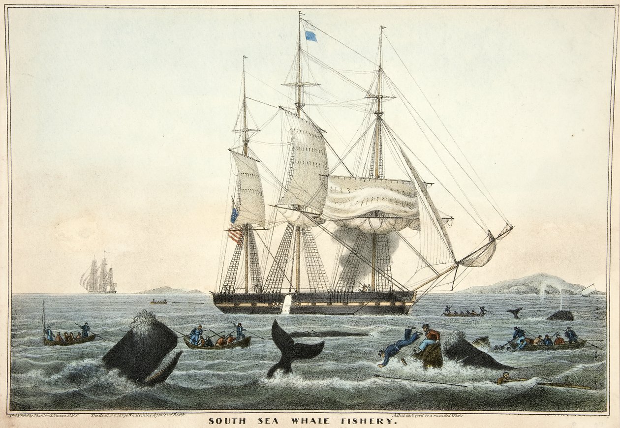 South Sea Whale Fishery, pub. 1825 by William John Huggins