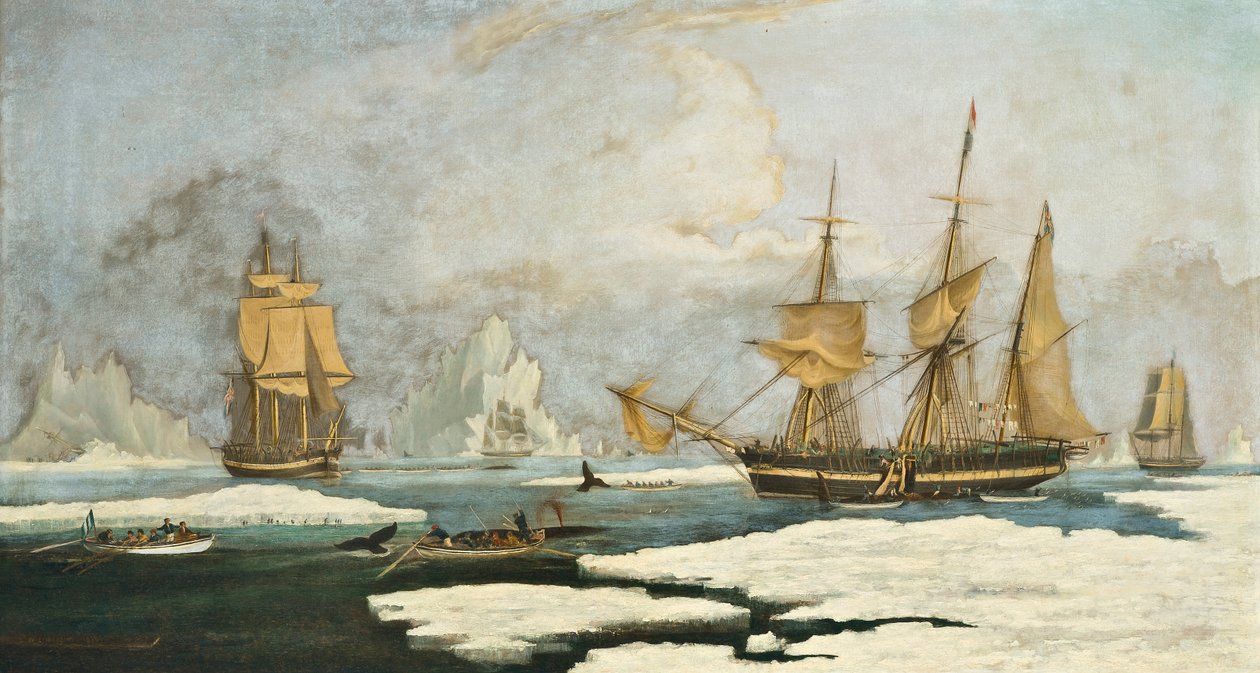 The Northern Whale Fishery: The Ship Harmony of Hull and Other Ice-bound Whalers, Hunting Seals, Narwhals and Whales on the Davis Straits Whaling Ground off Greenland by William John Huggins