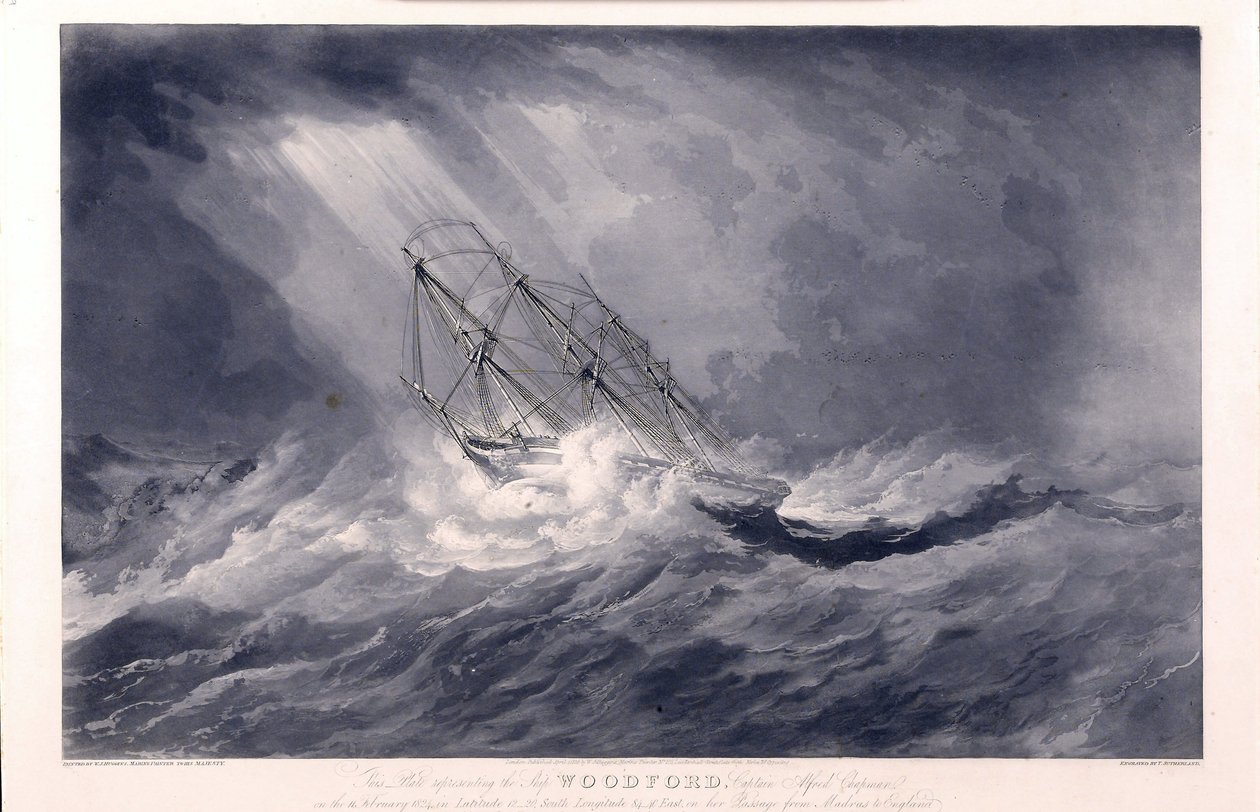 The ship 