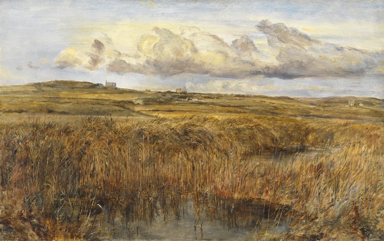 Rhoscolyn, Anglesey by William Joseph J.C. Bond