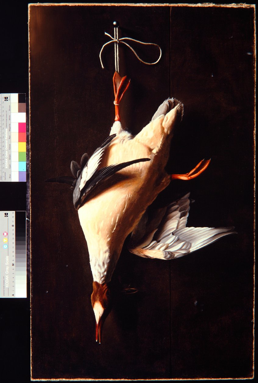 Merganser by William Michael Harnett