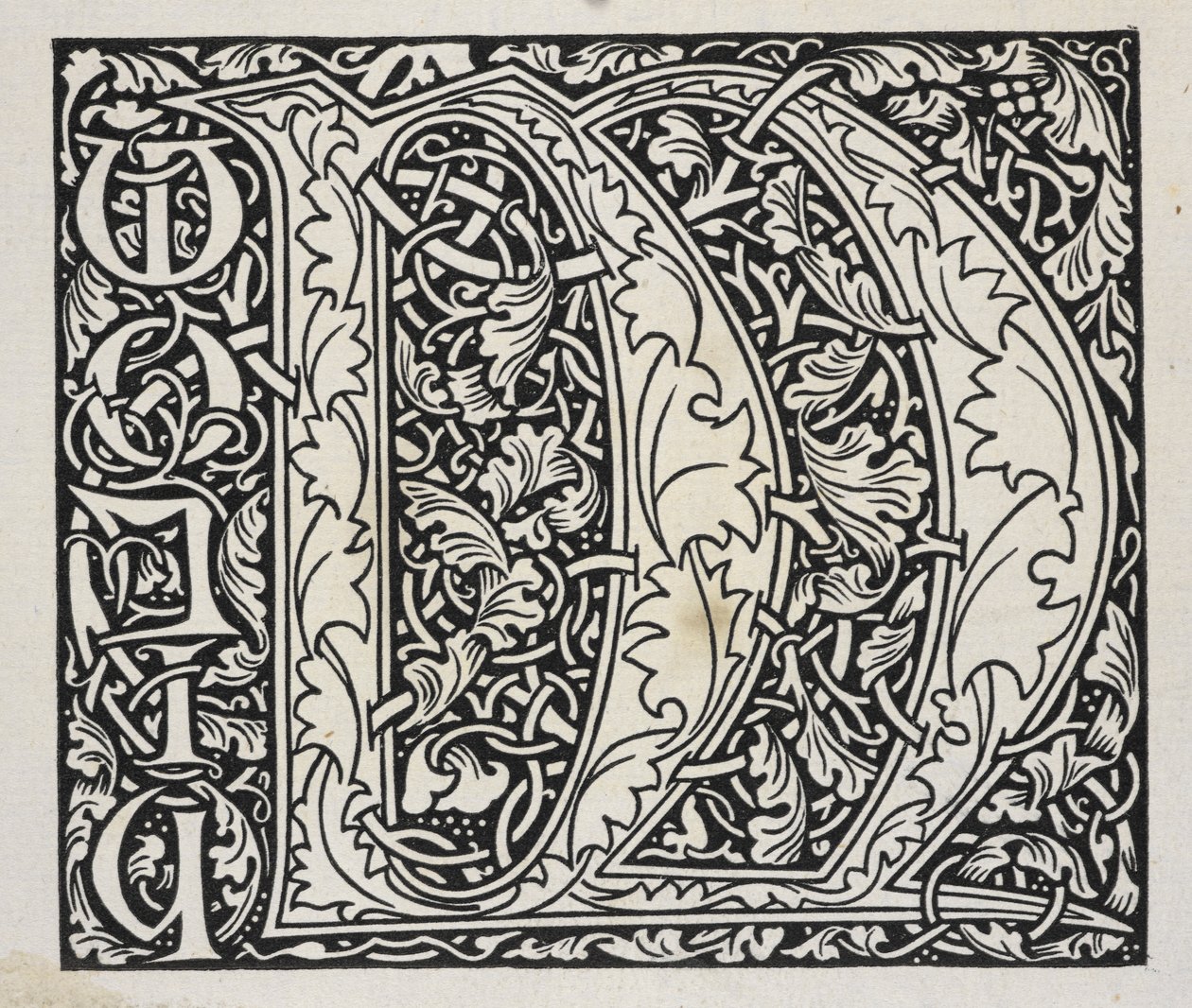 Initial, Black and White by William Morris
