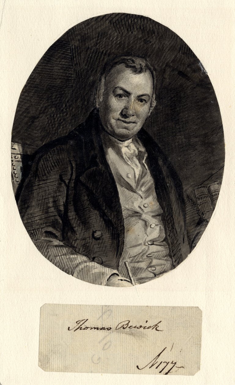 Portrait of Thomas Bewick by William Nicholson