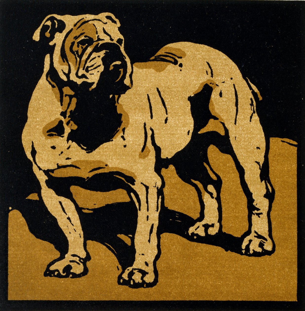 The British Bull-Dog, from 