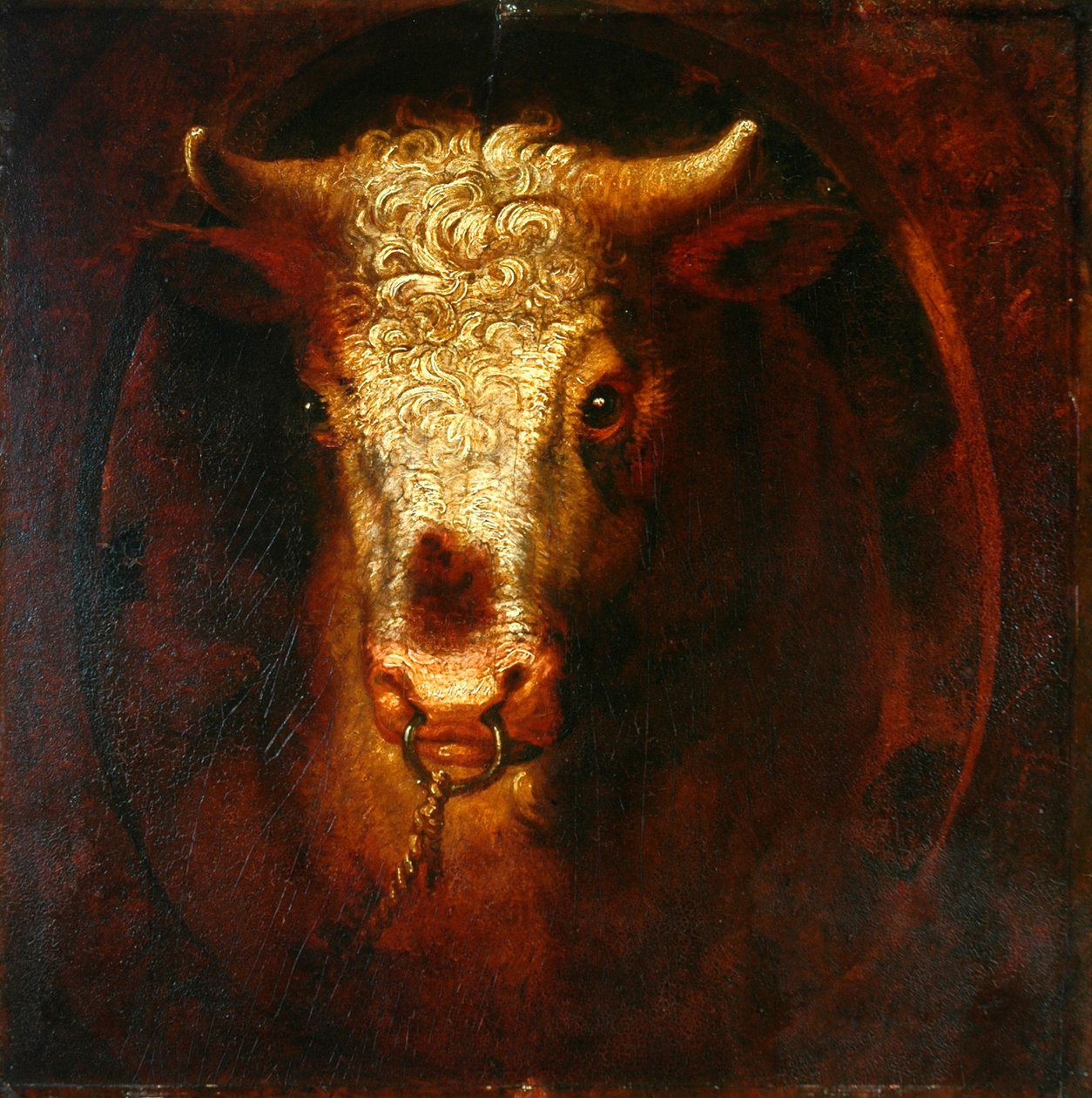 The Bull