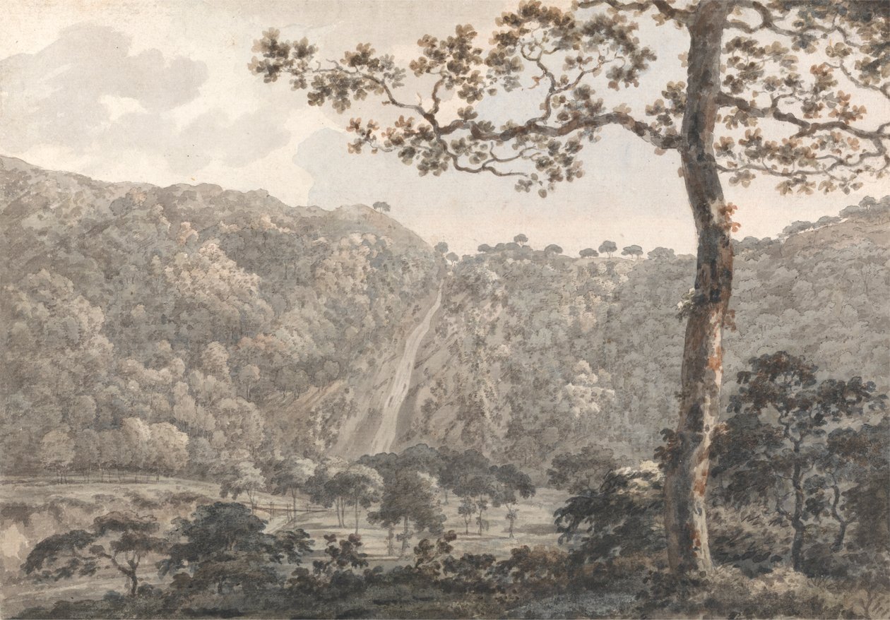 The Falls at Powerscourt, Co. Wicklow, Ireland by William Pars