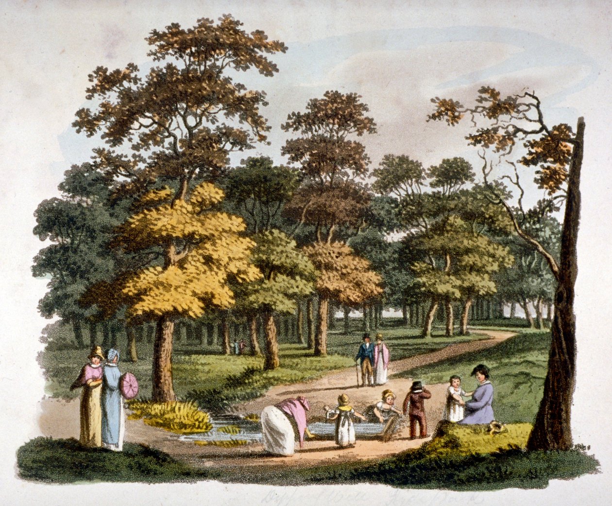 View of the 