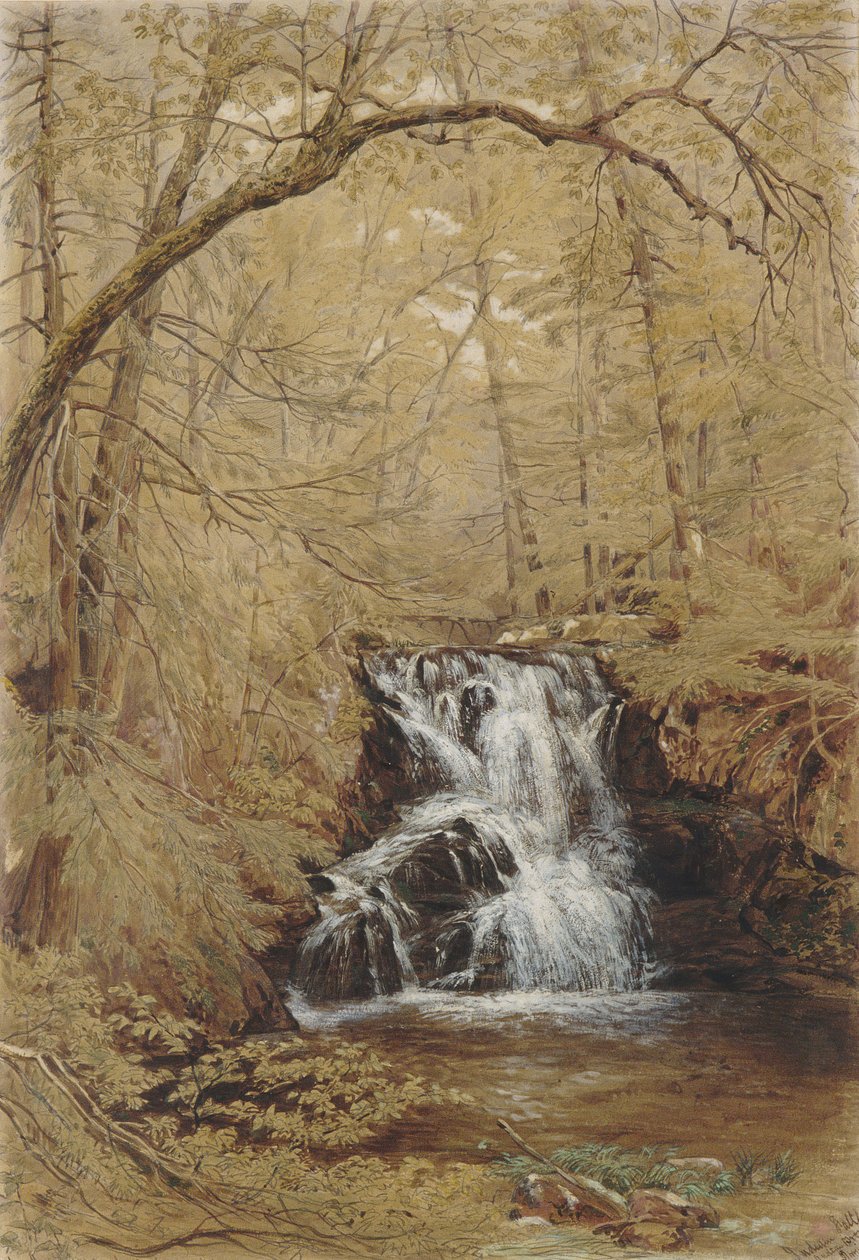 Indian Falls, Indian Brook, Cold Springs, New York by William Rickarby Miller