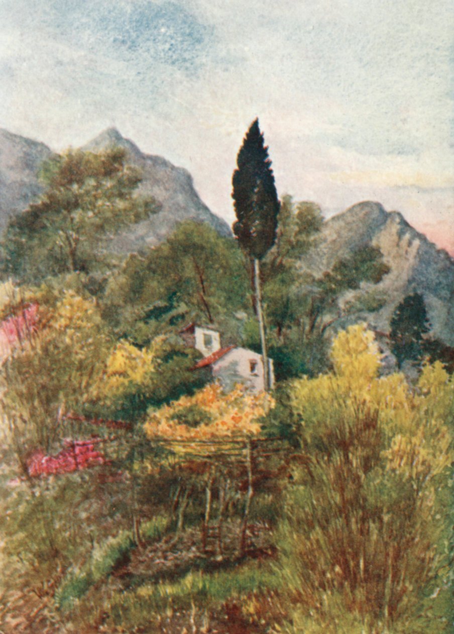 In the Borrigo Valley, Mentone by William Scott