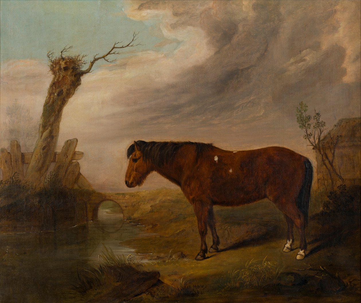 A Bay Pony by a River by William Smith