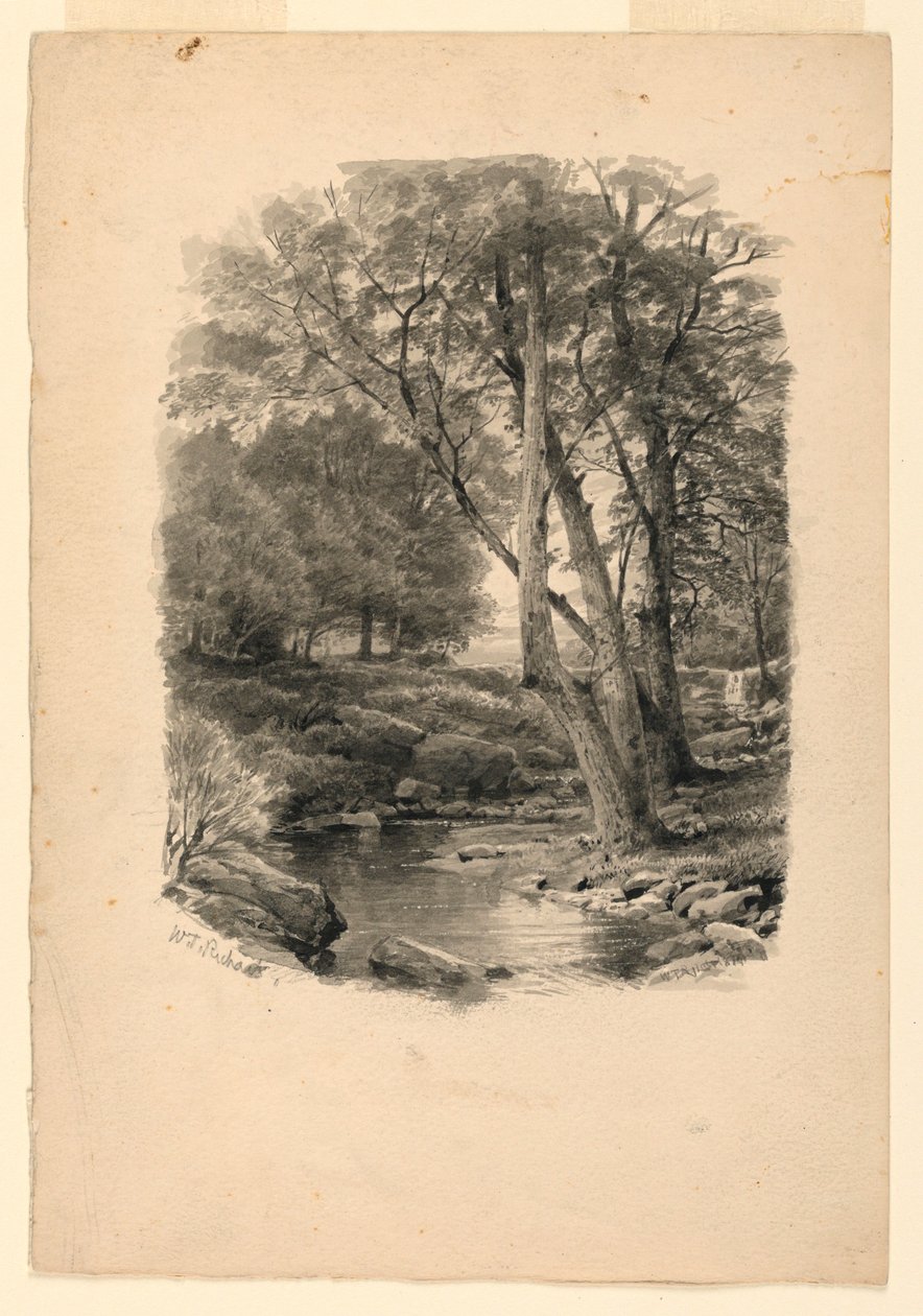 Pool in the Woods, 1874 by William Trost Richards