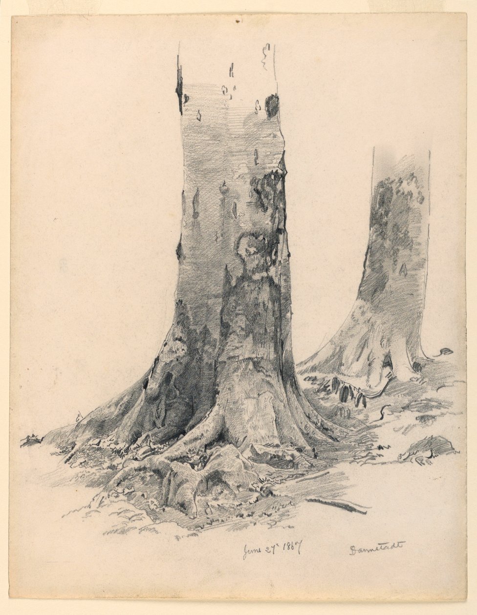 Tree Trunks, Darmstadt, June 27, 1867 by William Trost Richards