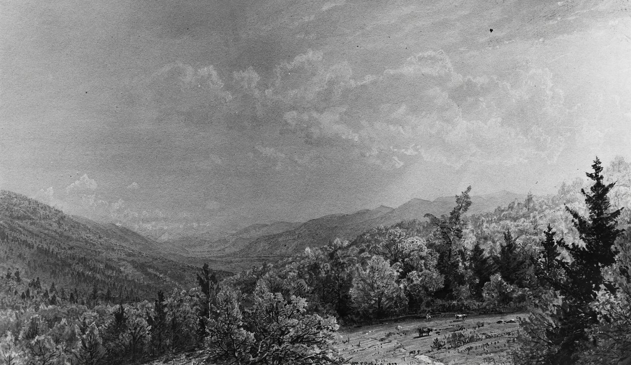 From the Flume House, Franconia, New Hampshire by William Trost Richards