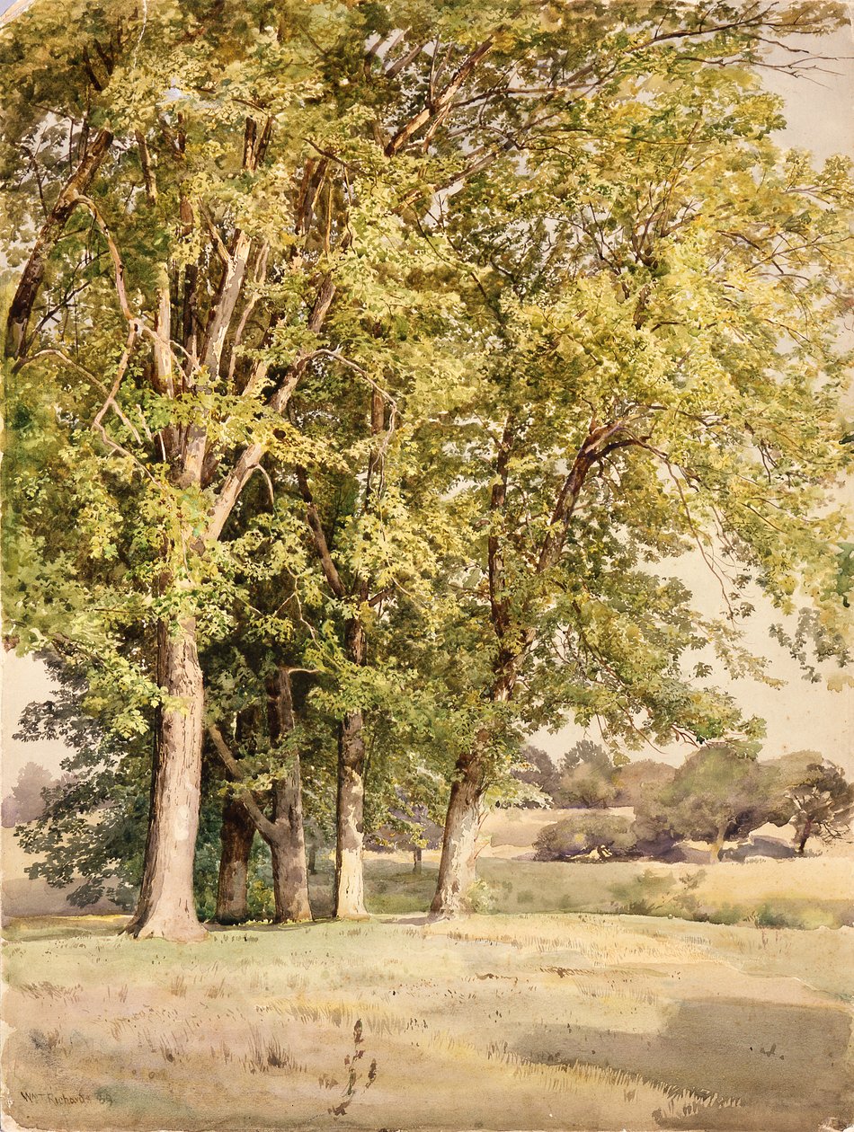 Maples in Chester County, Pennsylvania by William Trost Richards