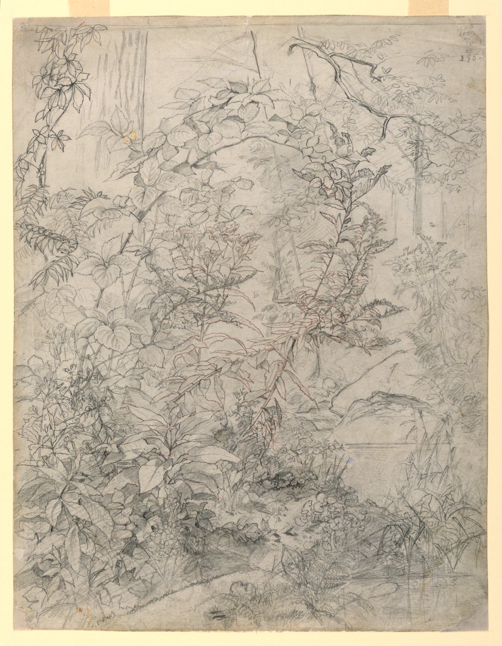 Study of Foliage by William Trost Richards