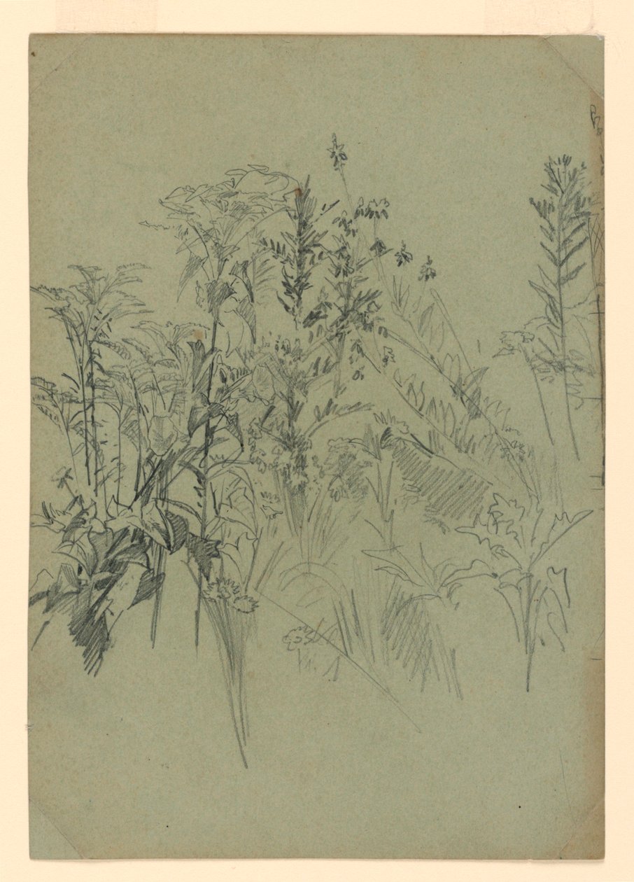 Study of Foliage by William Trost Richards