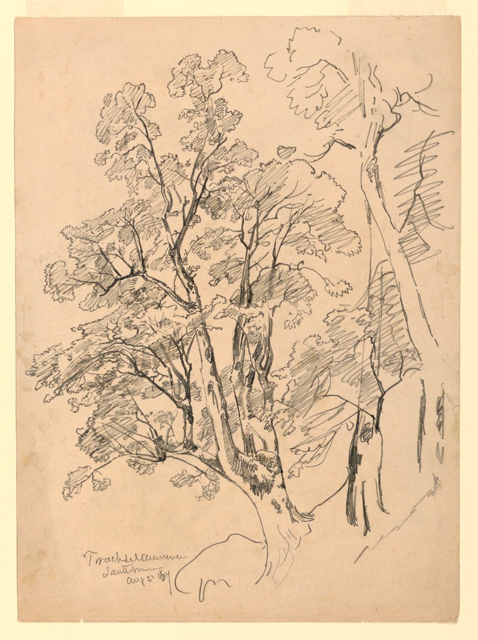 Study of Foliage, Trachselwald, Bern, Switzerland by William Trost Richards