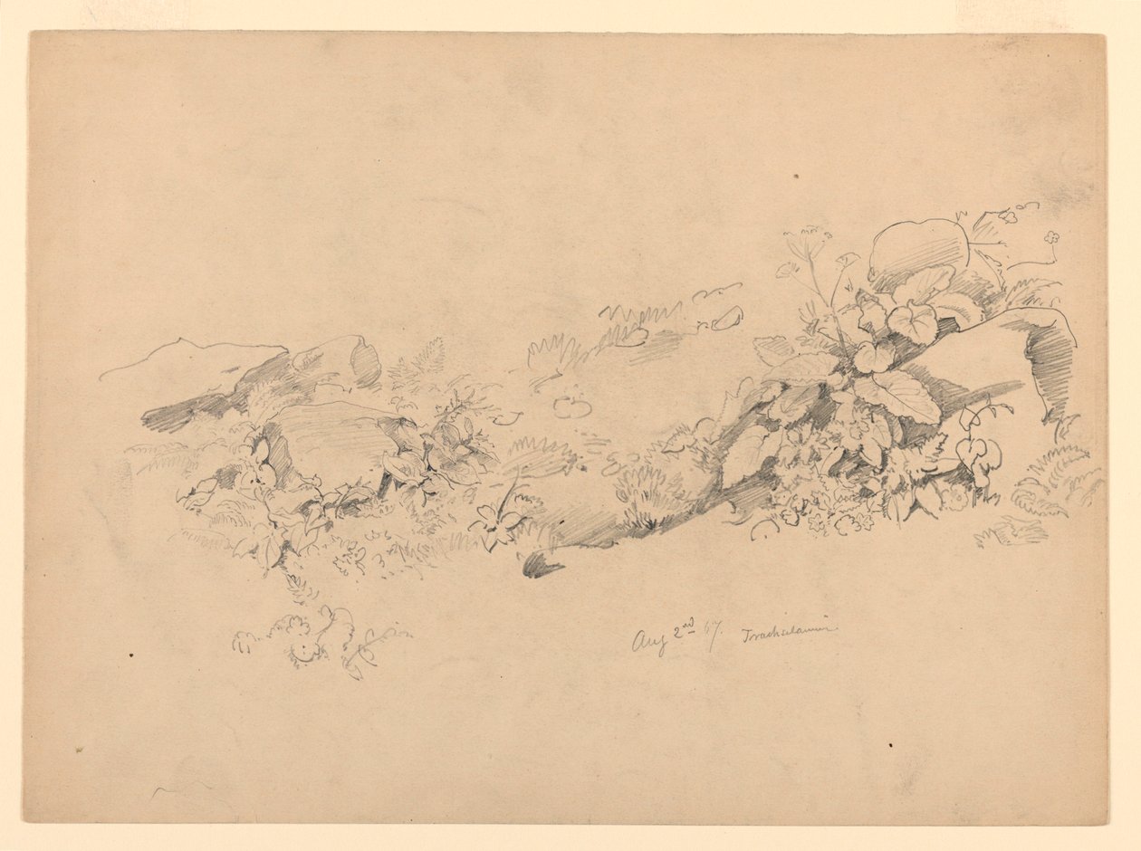 Study of foliage, Trachselwald, Bern, Switzerland by William Trost Richards