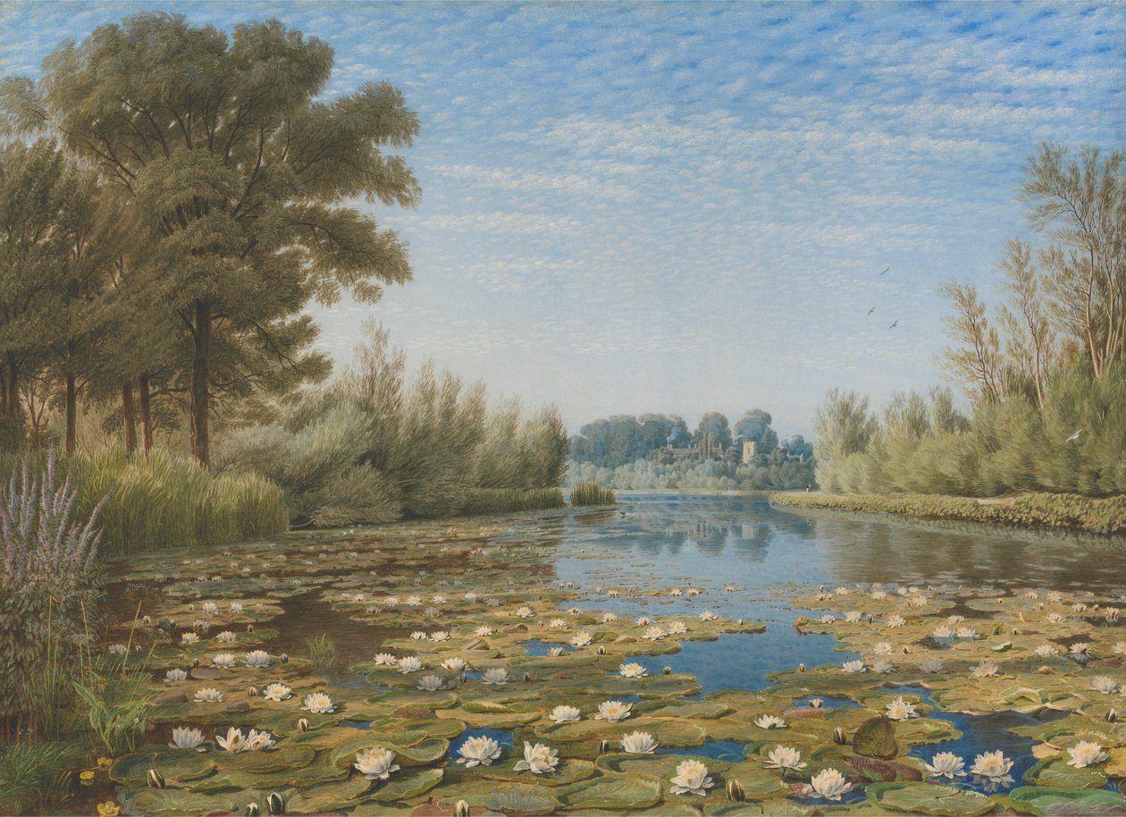 Scene near Shipton on Cherwell, Oxfordshire by William Turner of Oxford
