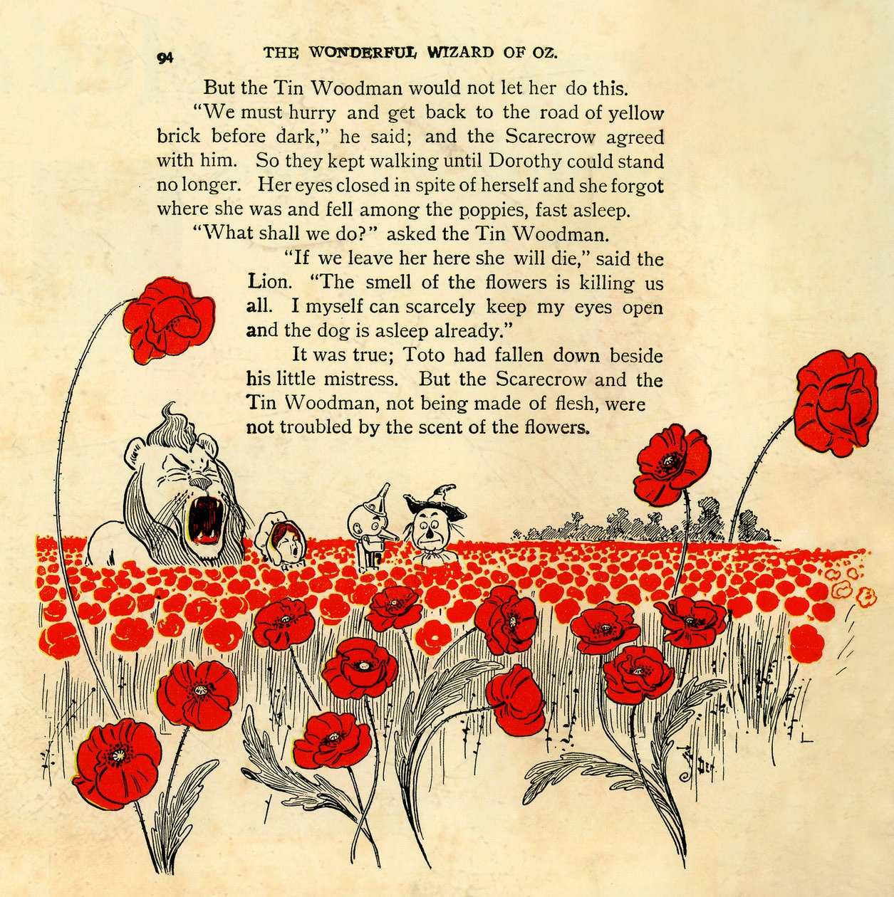 The Wonderful Wizard of Oz - Chapter VIII: The Deadly Poppy Field - Illustration by William Wallace Denslow by William Wallace Denslow