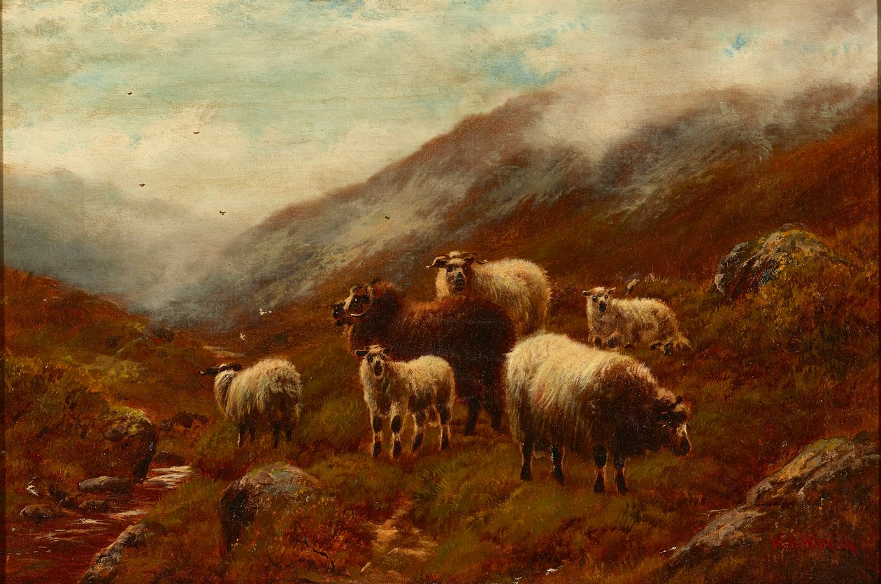 Highland Sheep On a Hillside by William Watson