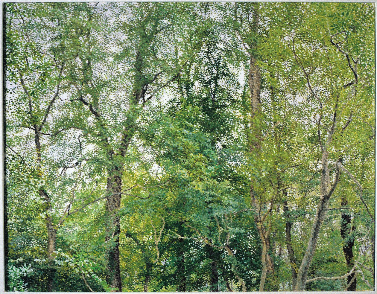 The Jubilee Plantation by William Wilkins