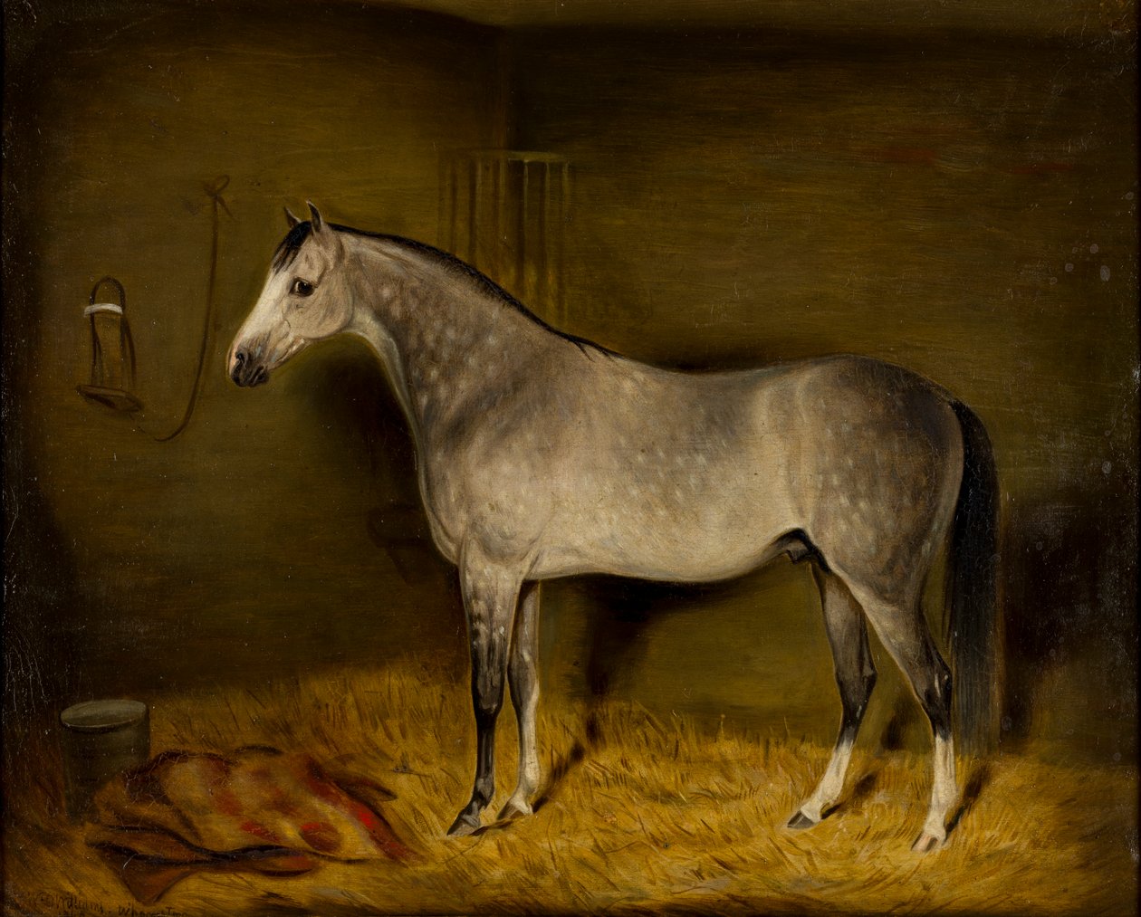 Arab Horse in a loose box by William Williams