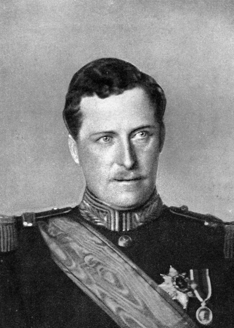 Albert, King of Belgium, First World War by William and Daniel Downey