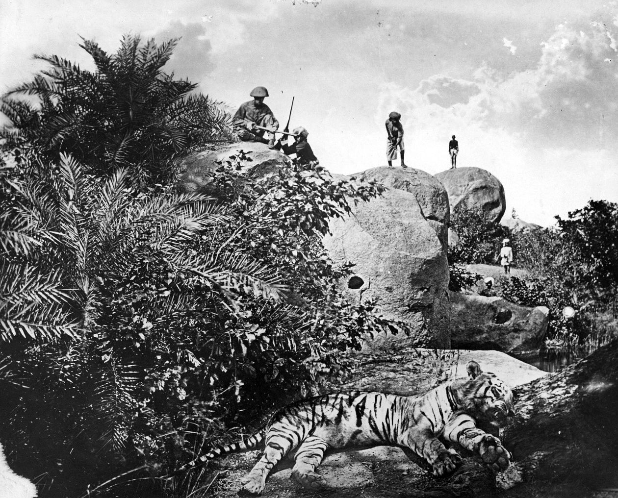 'Bagged' - Tiger hunting in India, c.1870s
