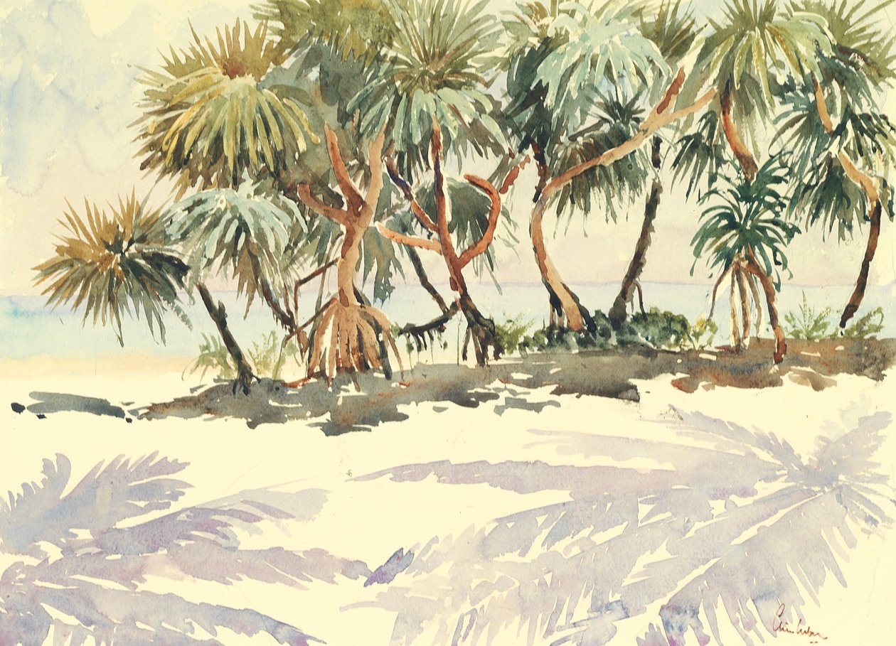 Straw trees, Bentota by Wilson Clive