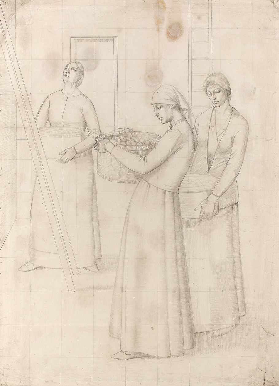 Study for 