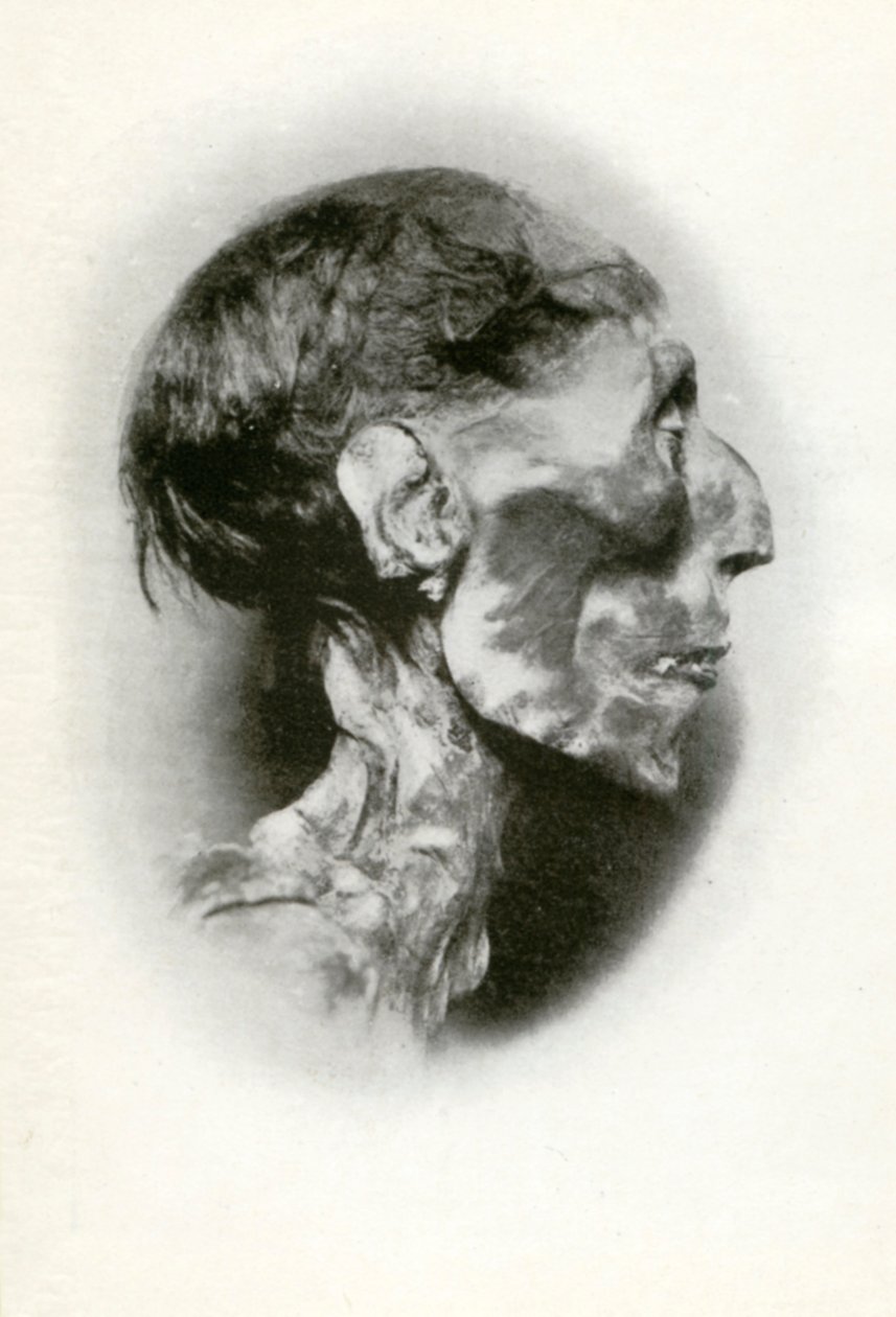 Head of the Mummy of Rameses II, Ancient Egyptian Pharaoh of the 19th Dynasty, c. 1212 BC, 1926 by Winifred Mabel Brunton