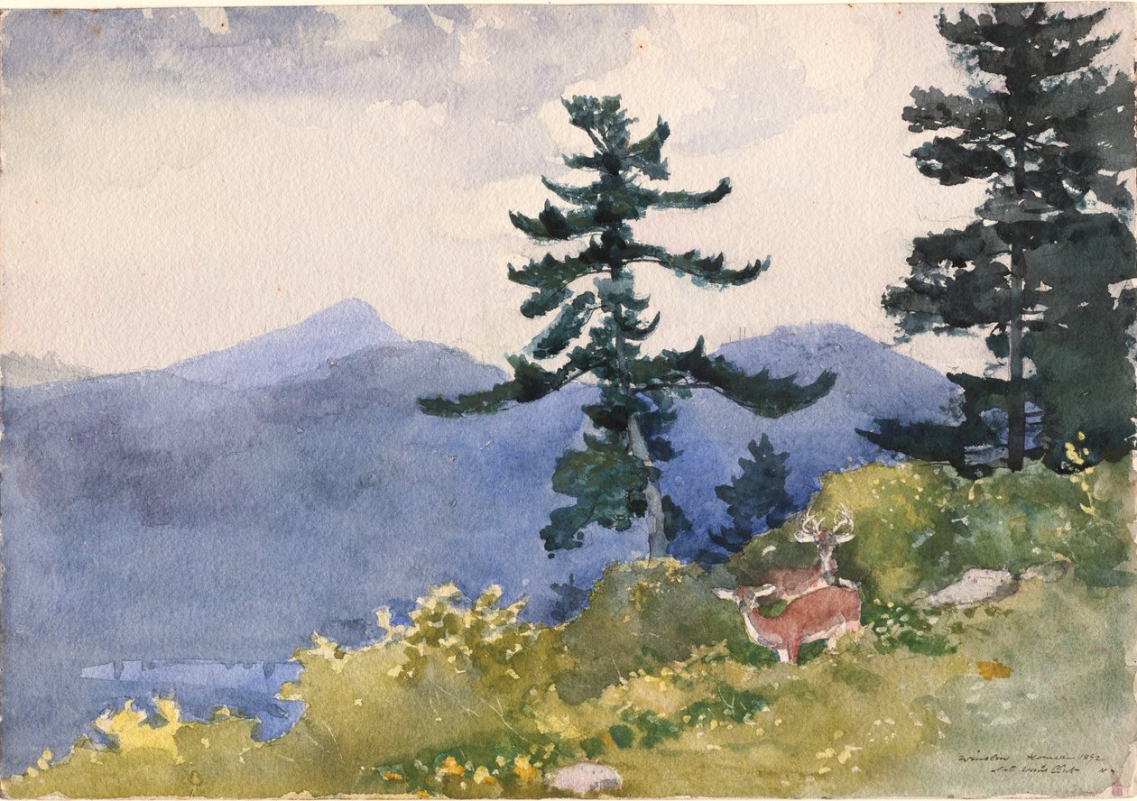 North Woods Club, Adirondacks by Winslow Homer