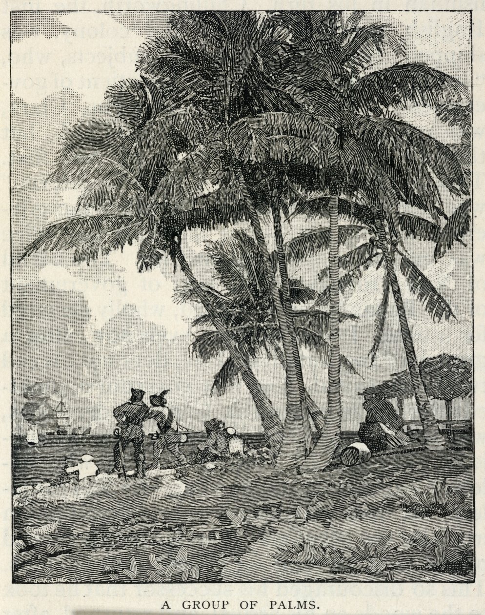 A Group of Palms by Winslow Homer