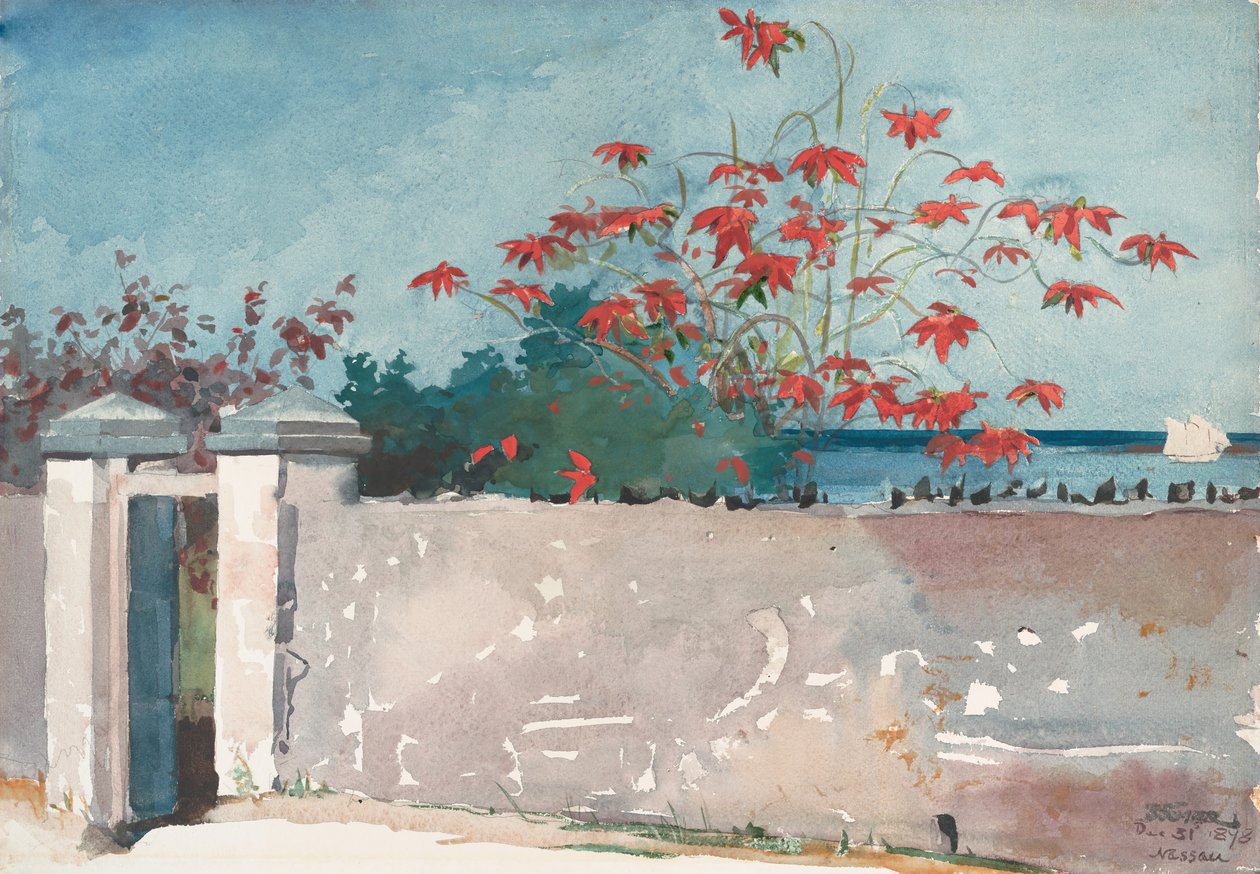 A Wall, Nassau, 1898 by Winslow Homer