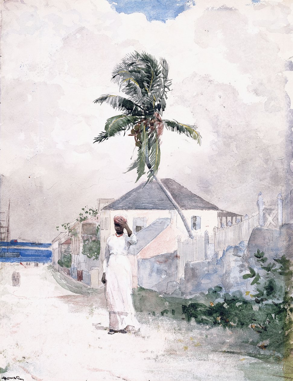 Along the Road, the Bahamas by Winslow Homer