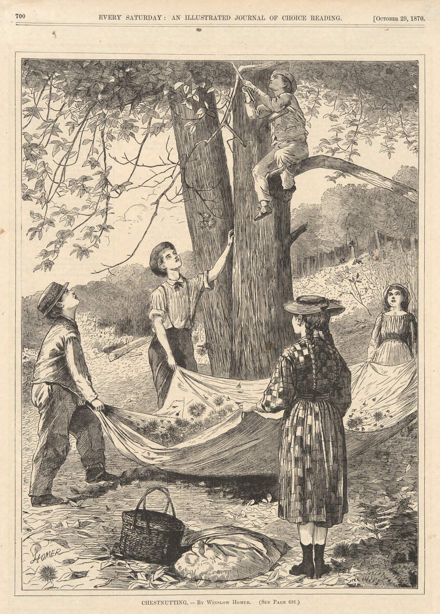 Chestnutting, from Every Saturday, October 29, 1870 by Winslow Homer