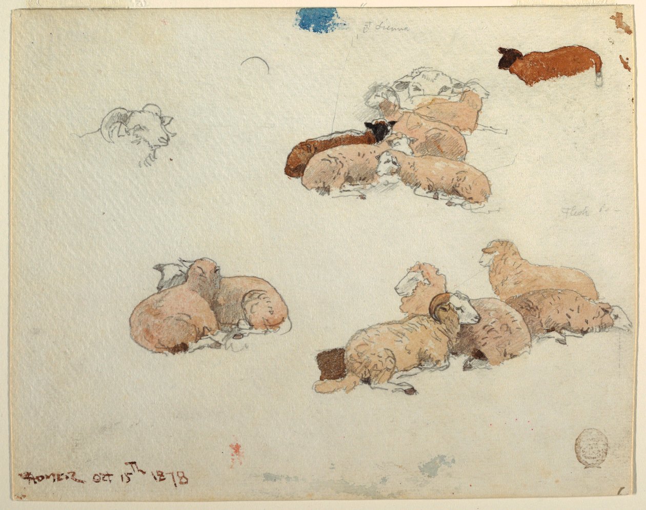 Sheep Resting, October 15, 1878 by Winslow Homer