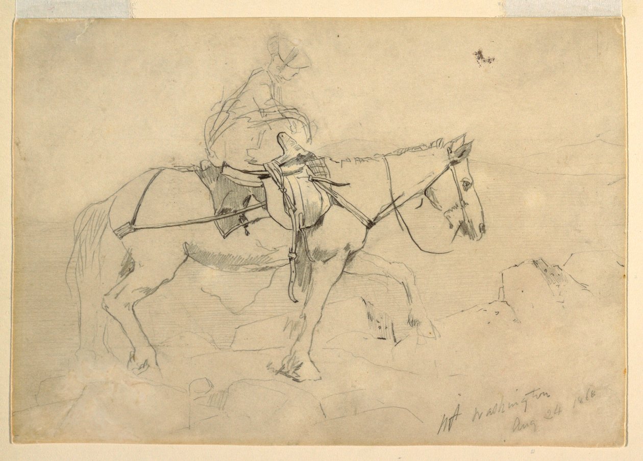 Study for "Bridle Path, White Mountains", August 24, 1868 by Winslow Homer