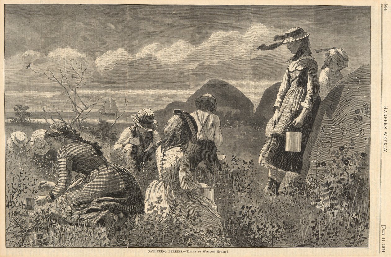Gathering Berries, from Harper by Winslow Homer