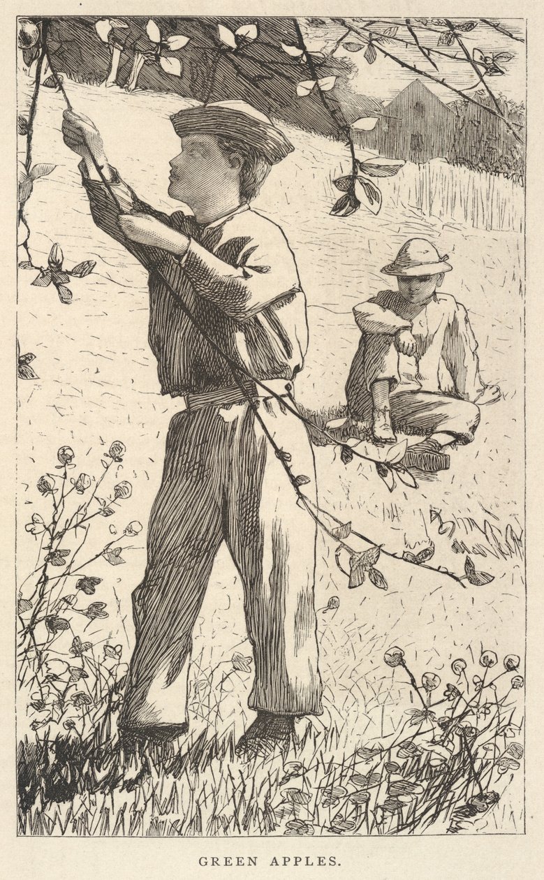 Green Apples, from Our Young Folks, August 1868 by Winslow Homer