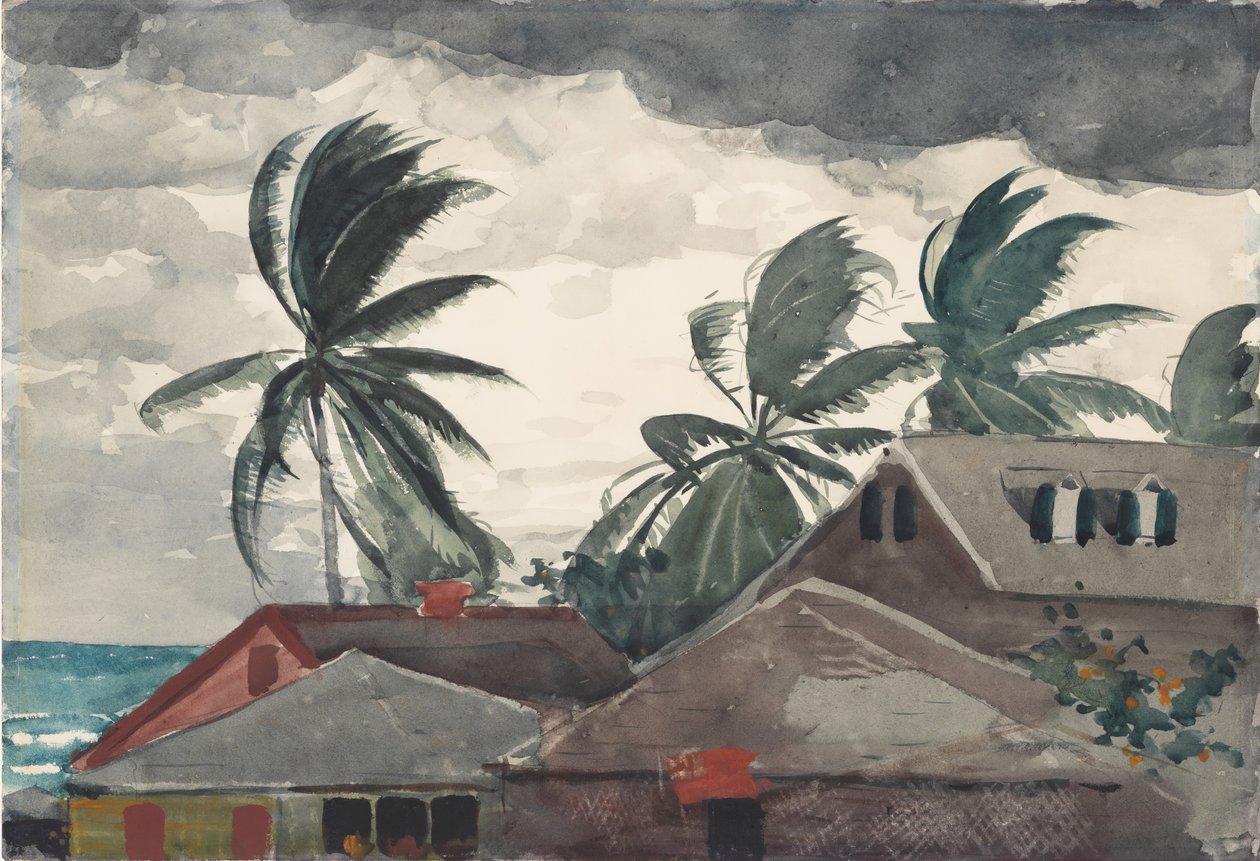Hurricane, Bahamas, 1898 by Winslow Homer