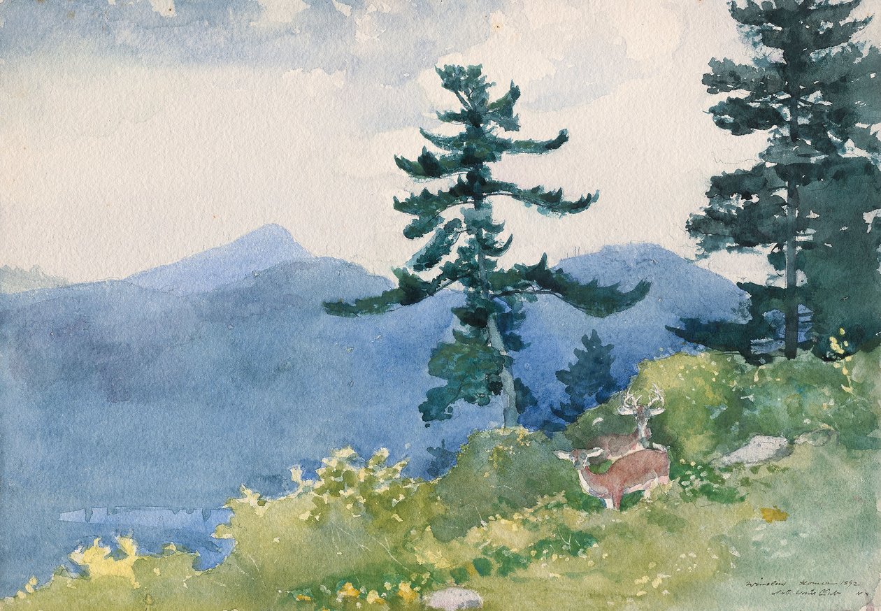 North Woods Club, Adirondacks (The Interrupted Tete-a-Tete) by Winslow Homer